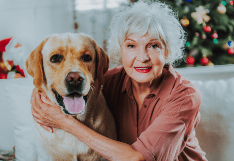 Risk Factors for Mobility Disorders in Dogs