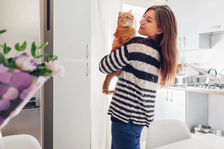 La conjonctivite chez le chat