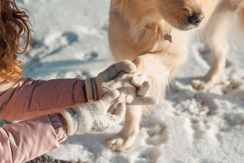 Protéger mon animal du froid