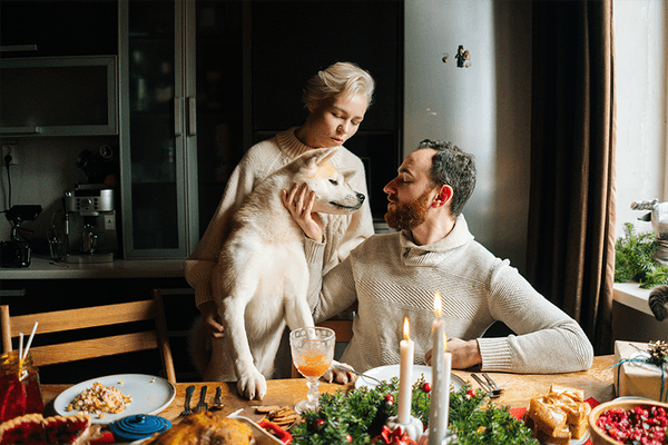 Mission Détox : pourquoi et comment aider l’organisme de votre animal après les fêtes ?