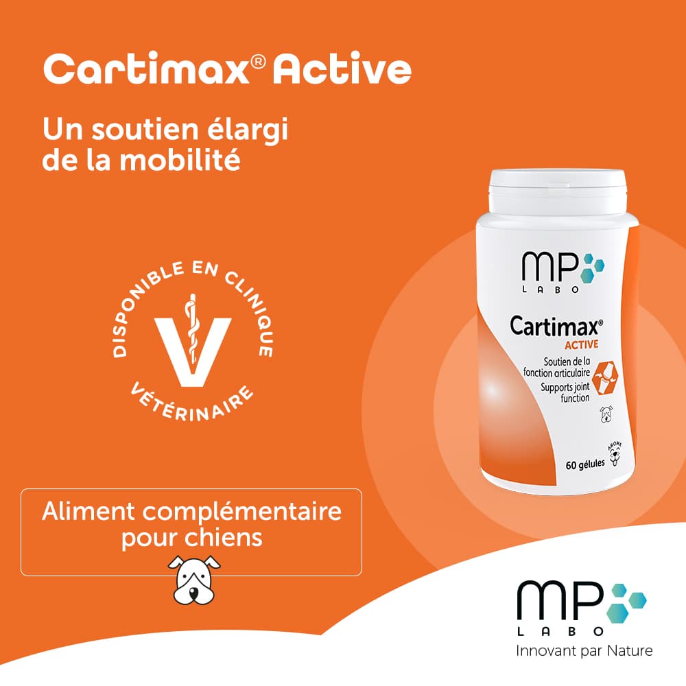 Cartimax® Active