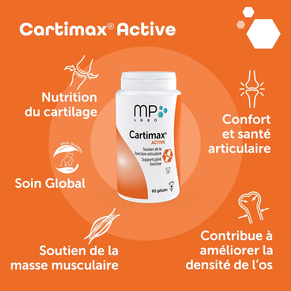 Cartimax® Active