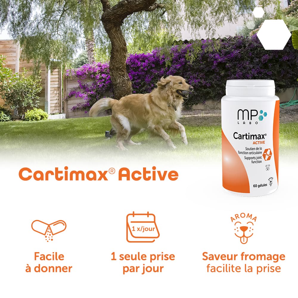 Cartimax® Active
