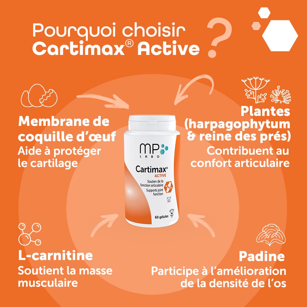 Cartimax® Active