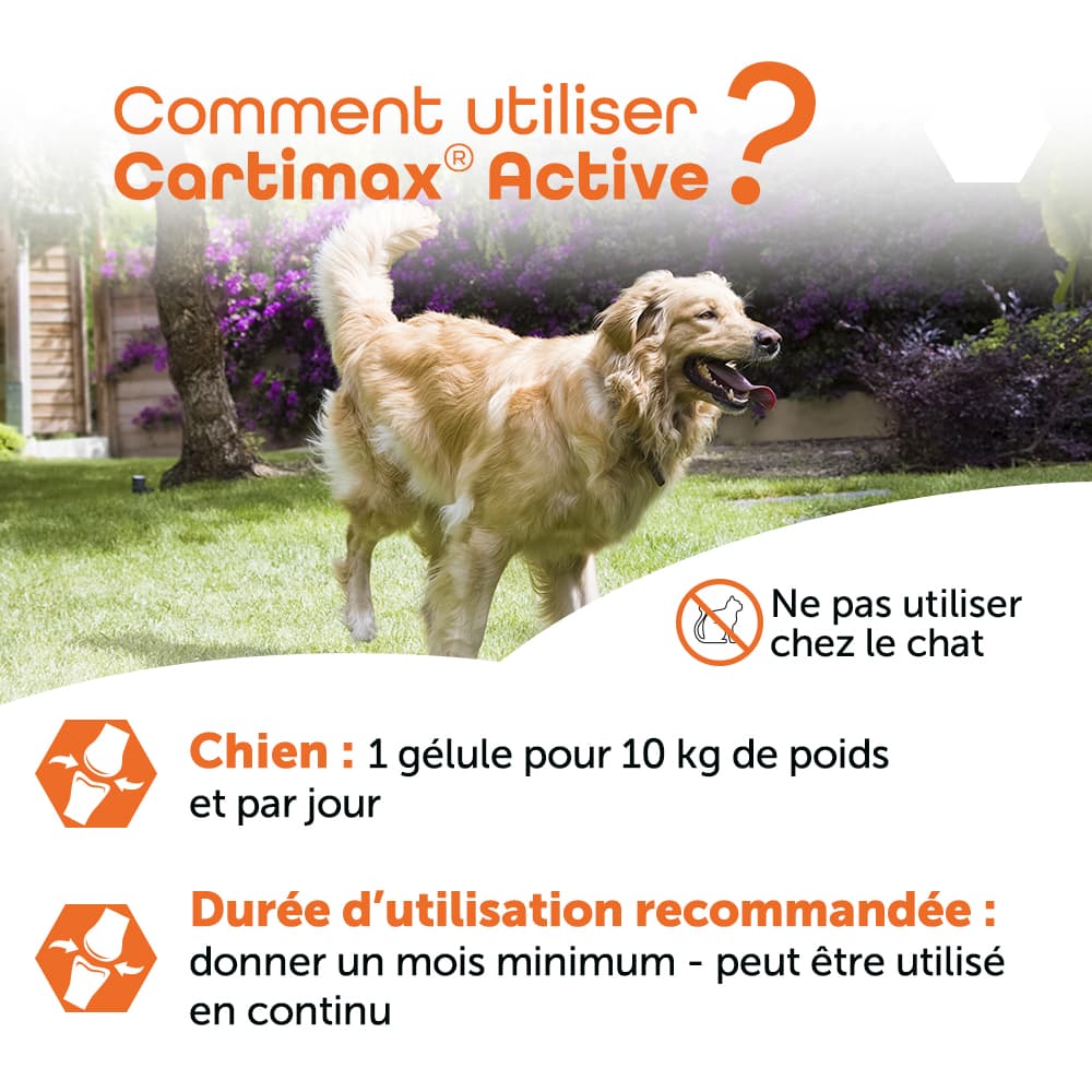 Cartimax® Active