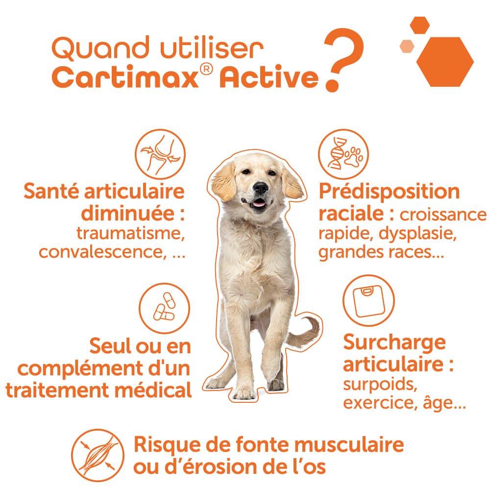 Cartimax® Active