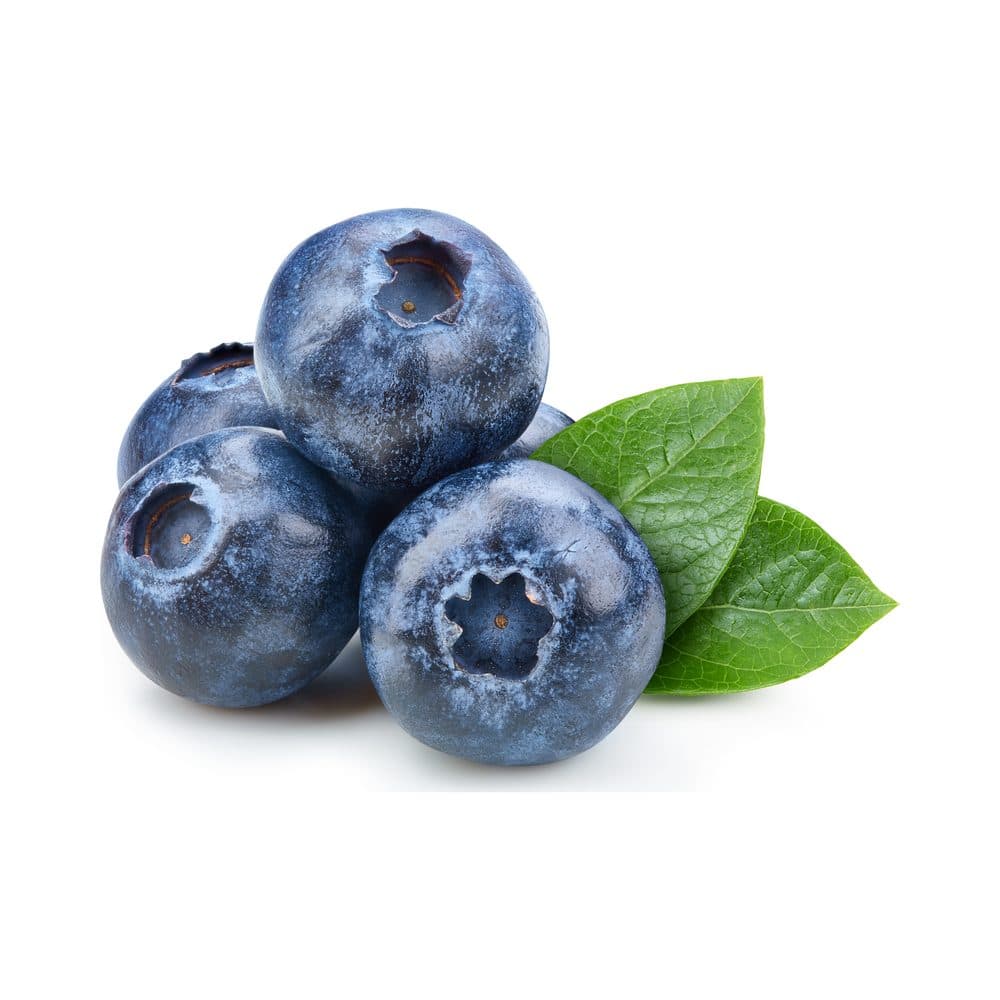 Bosbes