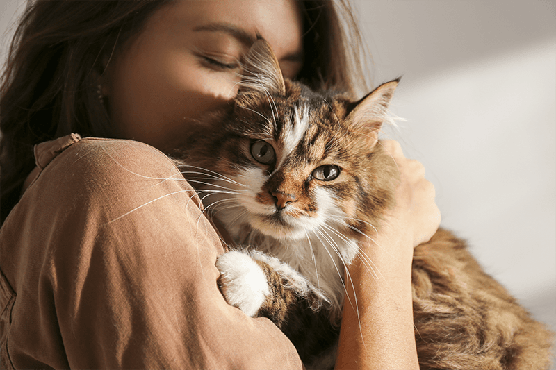 Tailor care to skin type, coat type... and every pet