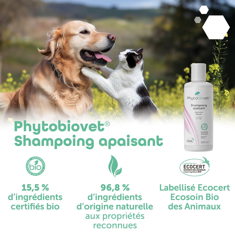 Phytobiovet® Shampoing apaisant