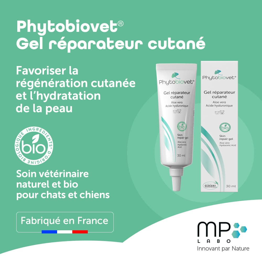 Phytobiovet® Gel réparateur cutané