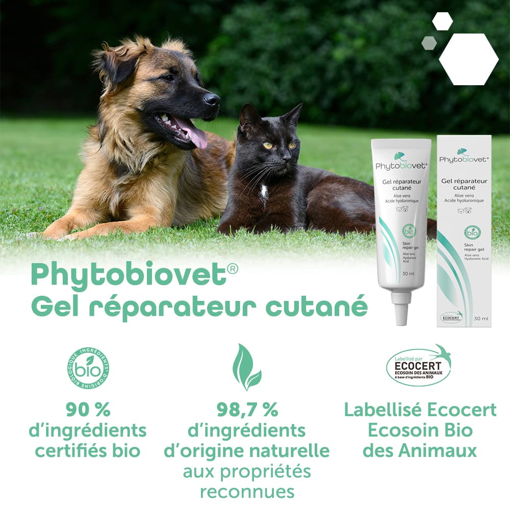 Phytobiovet® Gel réparateur cutané