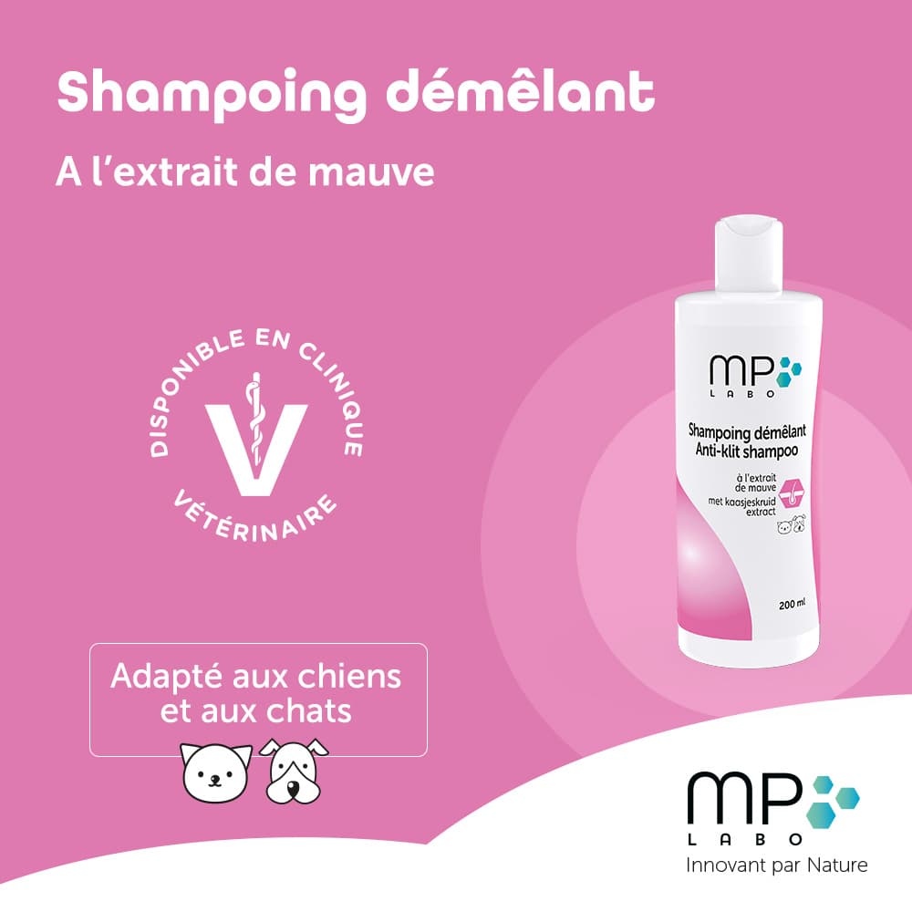 Shampoing Démêlant®