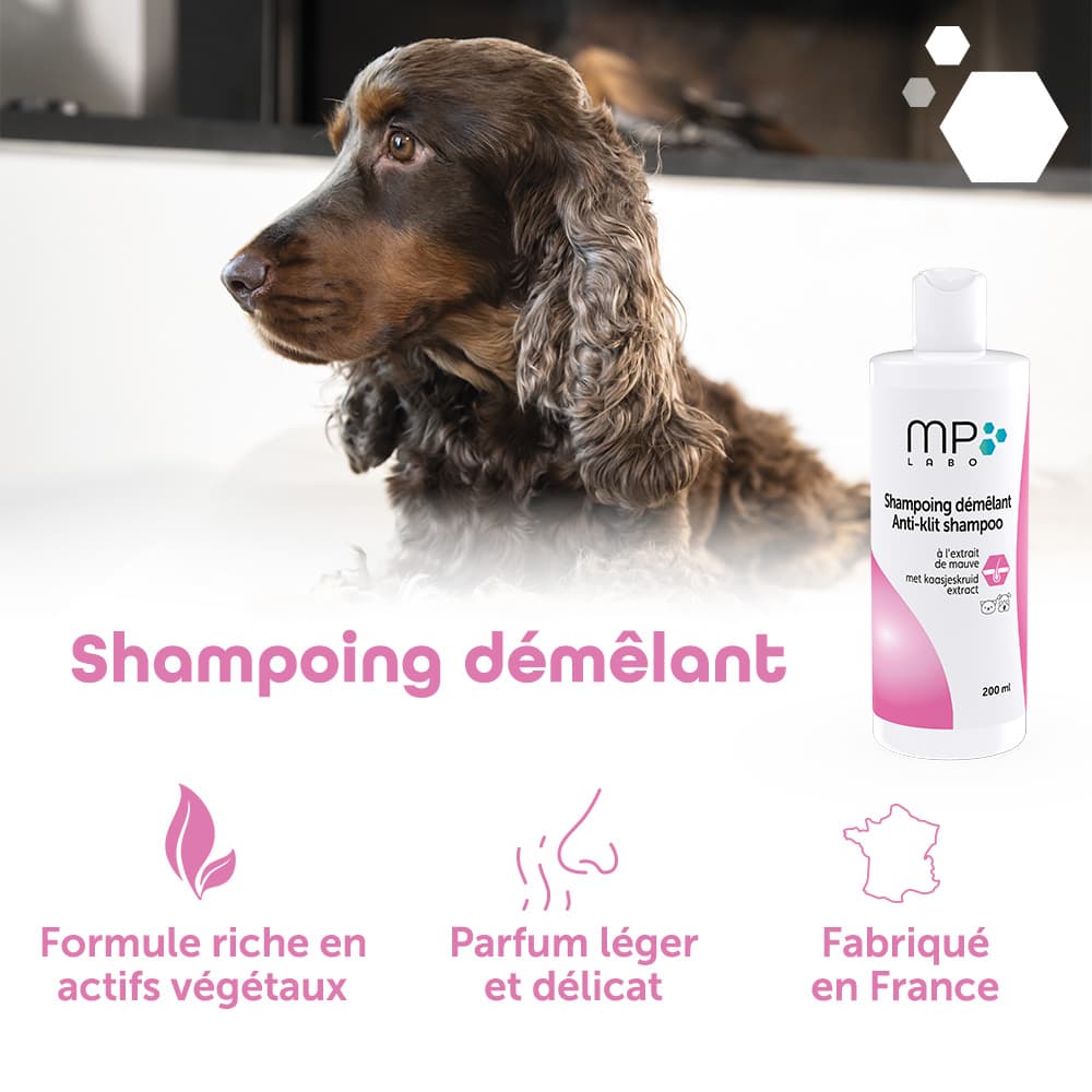 Shampoing Démêlant®
