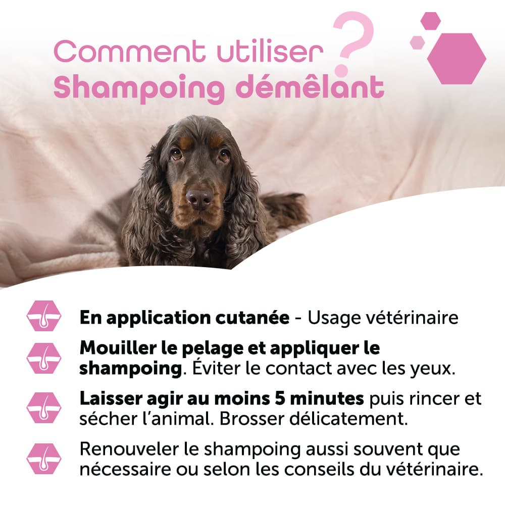 Shampoing Démêlant®