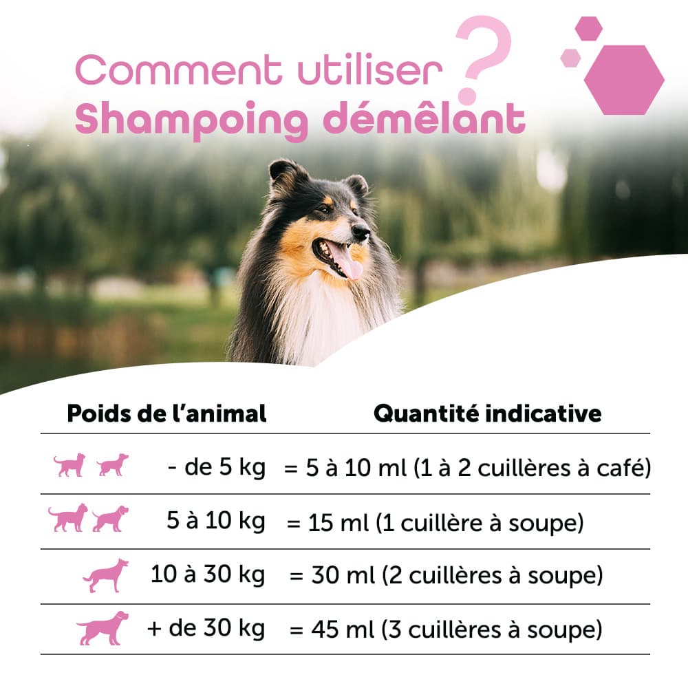 Shampoing Démêlant®