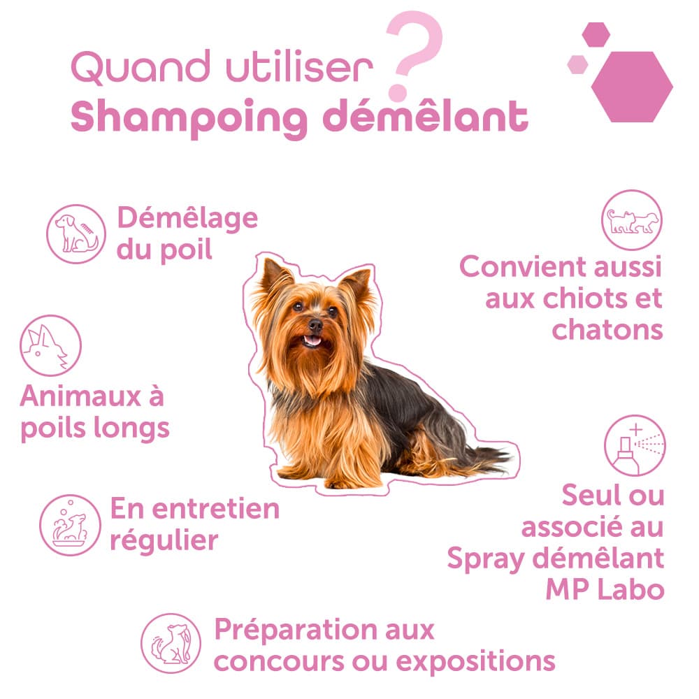 Shampoing Démêlant®