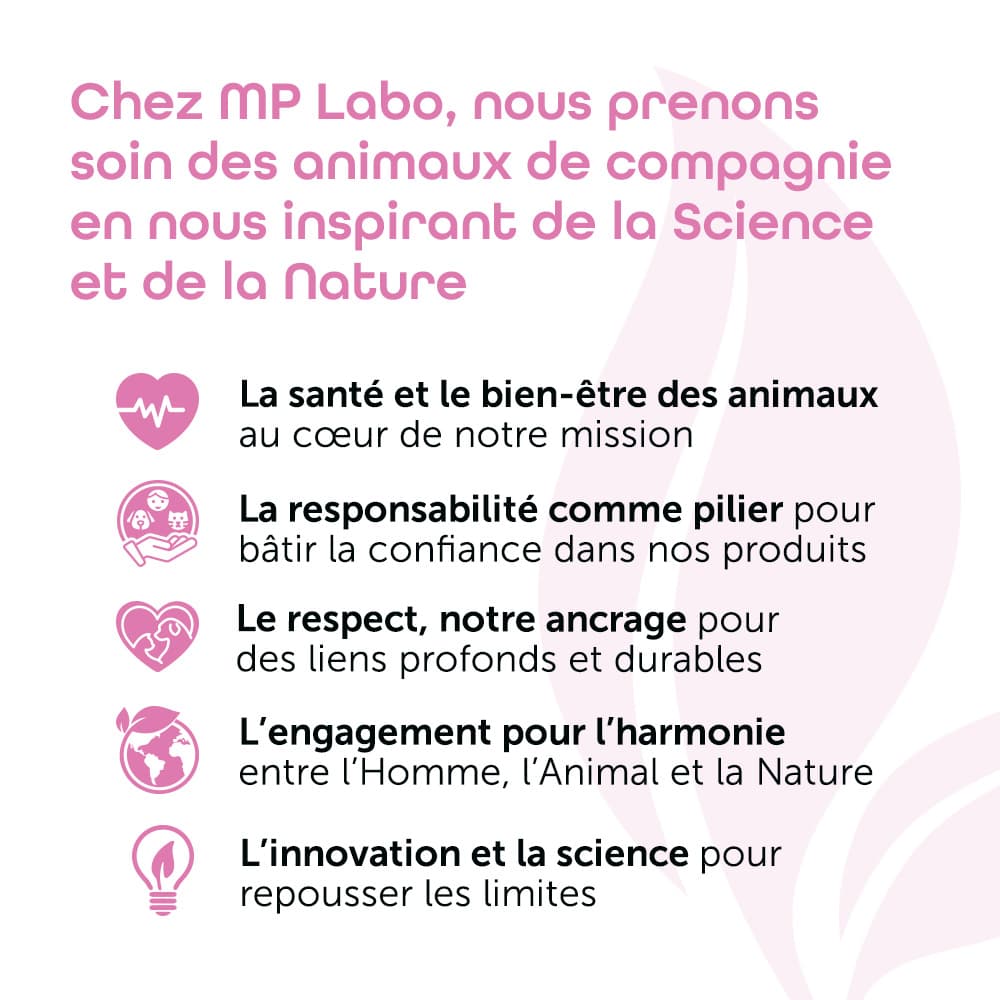 Shampoing Démêlant®