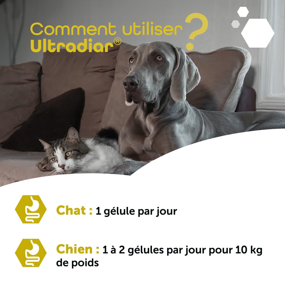 Ultradiar®
