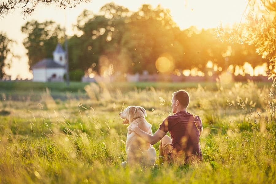 Natural Ingredients for Pet Care