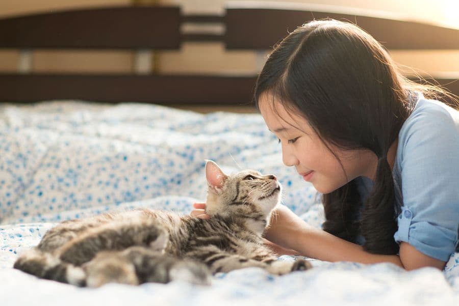 How to Care for Your Dog’s and Cat’s Coat?