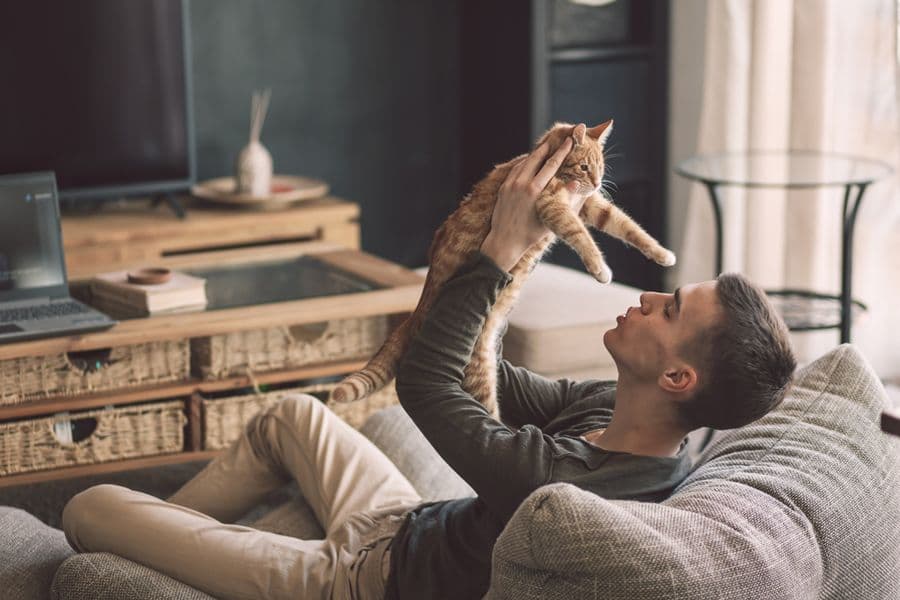Your Pet’s Travel Kit