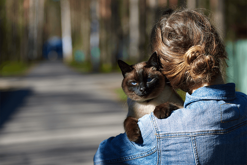 Leaving my pet in boarding: how can I help them cope?