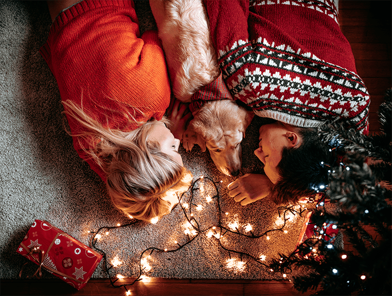 Noël et les animaux autour du monde