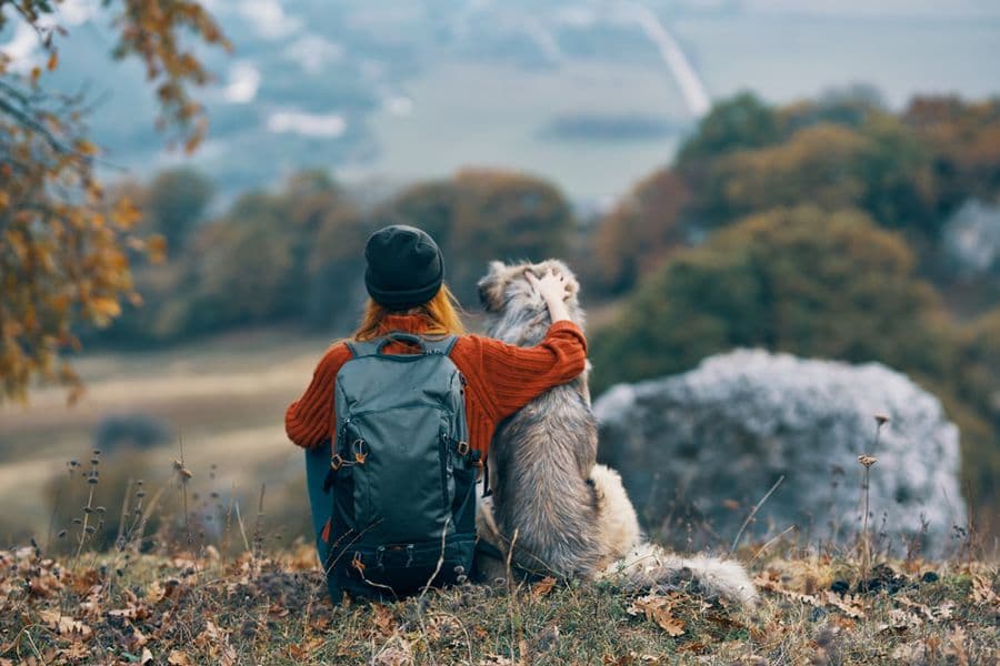 Comment préparer mon chien à l’arrivée de bébé ?