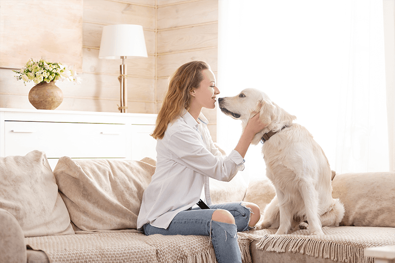 Understanding Topical Care for Dogs and Cats