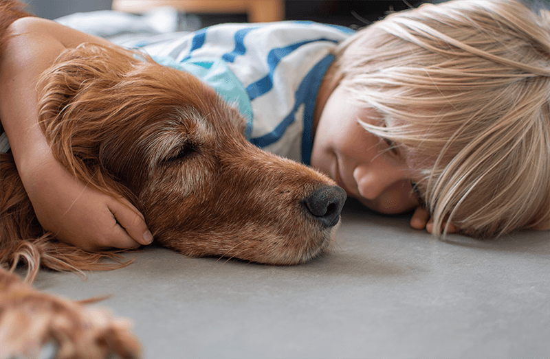 Comment prendre soin de mon animal sénior ?