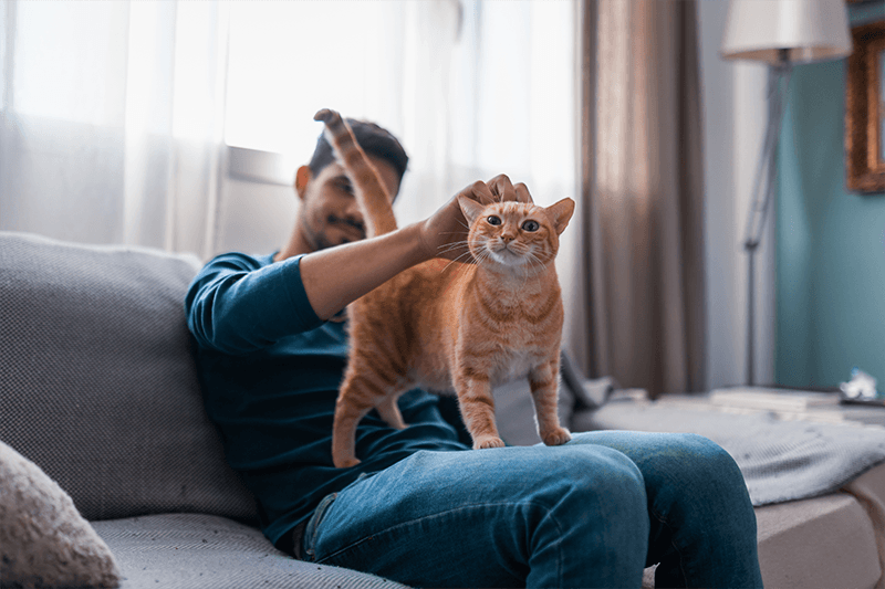 Quand le microbiote va, tout va…