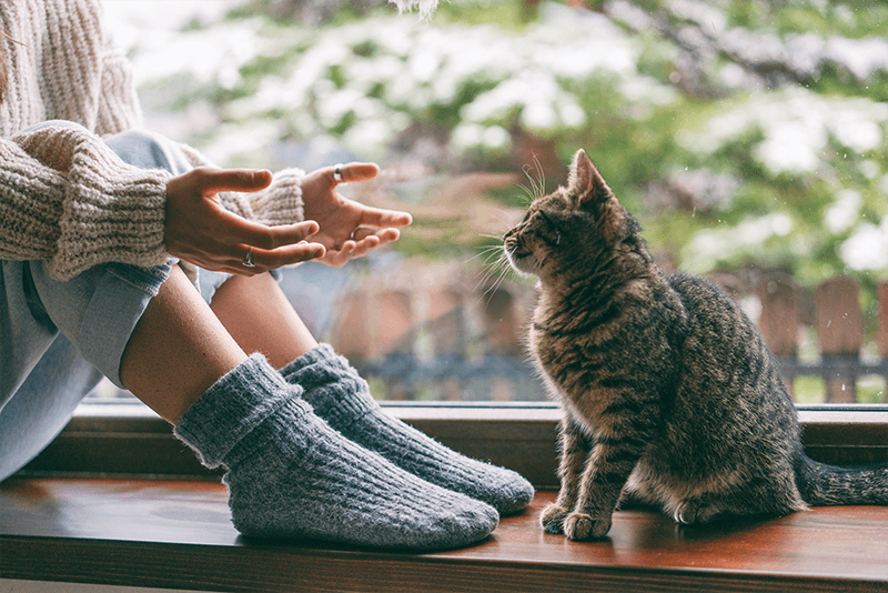 Le coryza chez le chat : un trouble respiratoire à ne pas sous-estimer