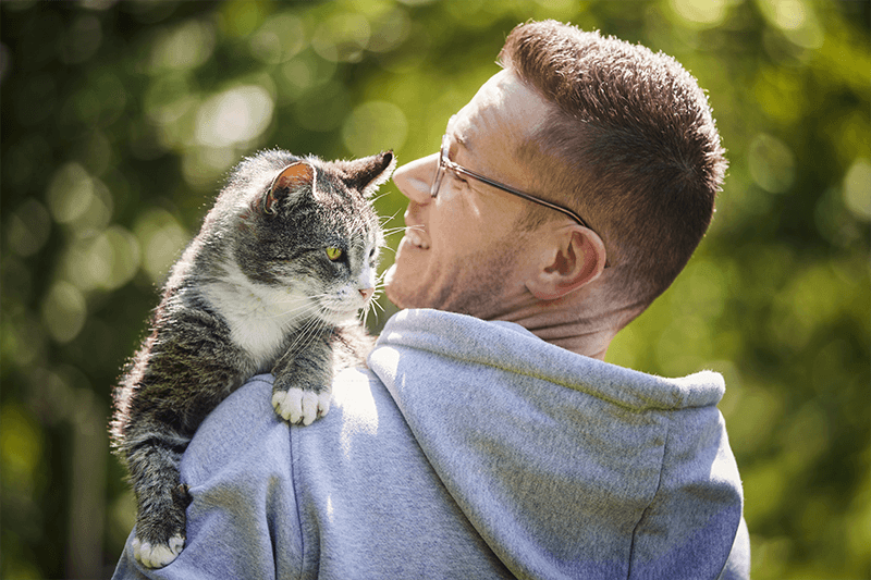 Mon chat vieillit : quelles maladies peuvent l’atteindre ?