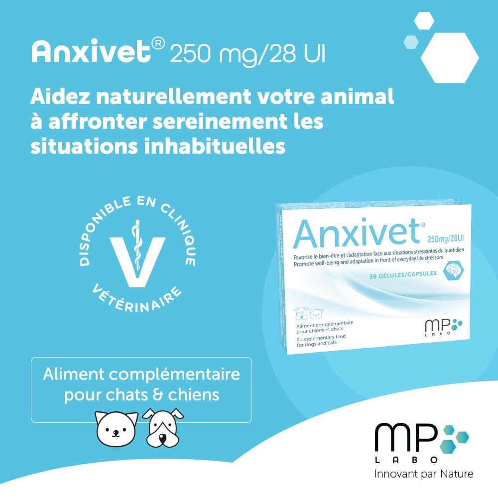 Anxivet® 250mg et 500mg