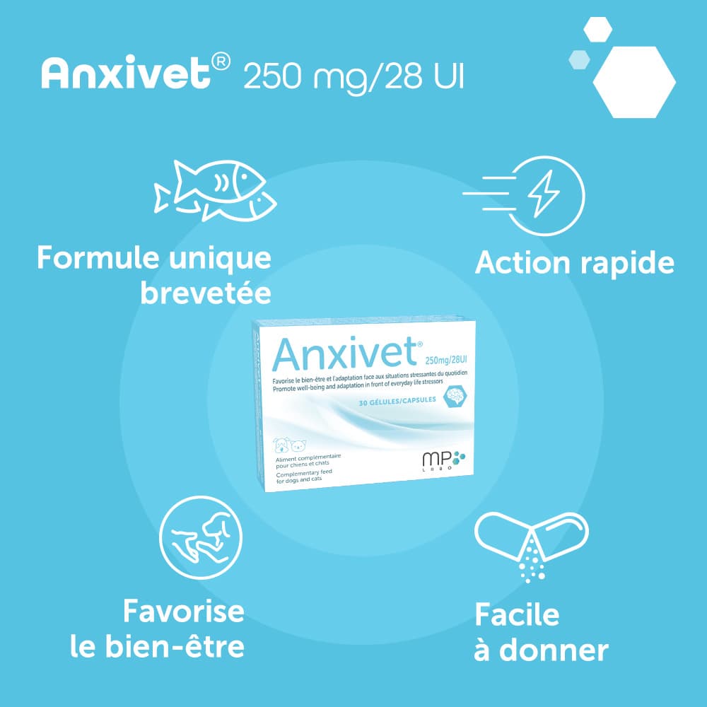 Anxivet® 250mg et 500mg