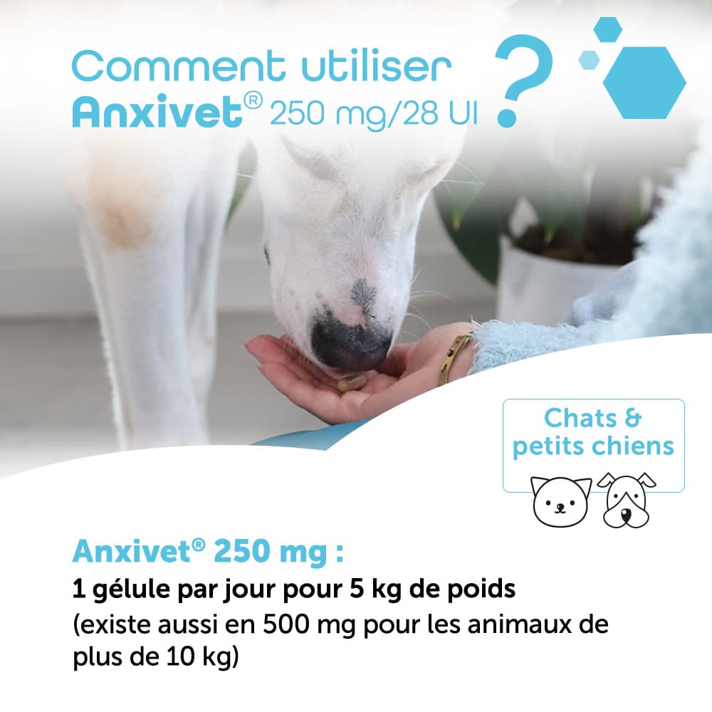 Anxivet® 250mg et 500mg
