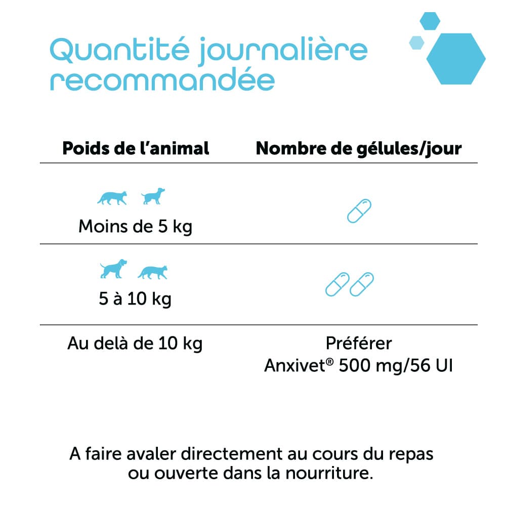 Anxivet® 250mg et 500mg