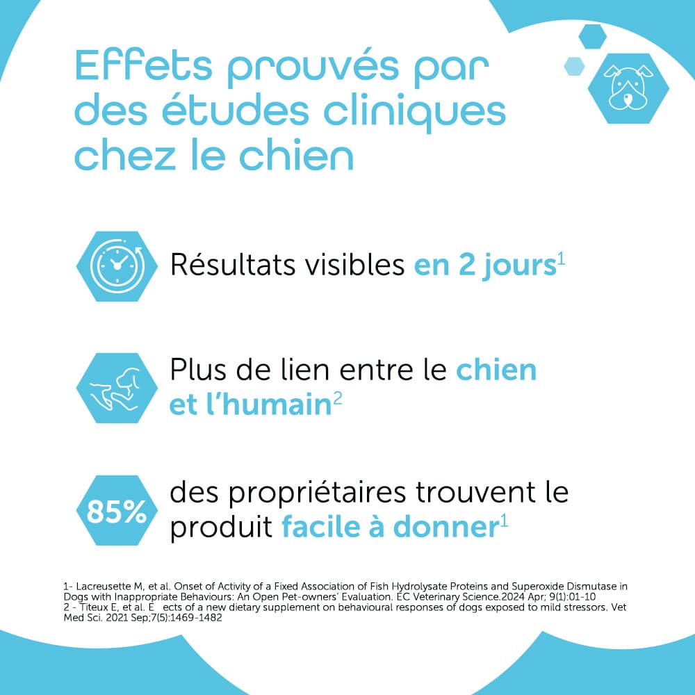 Anxivet® 250mg et 500mg