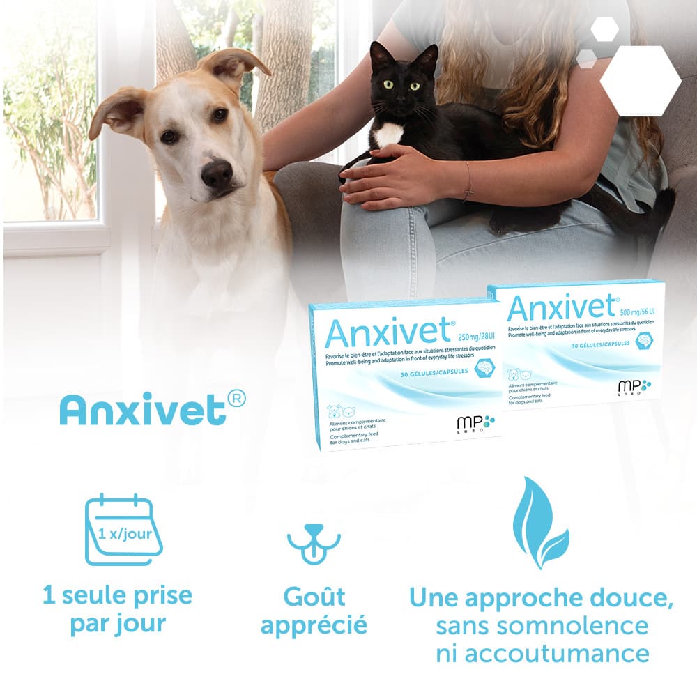Anxivet® 250mg et 500mg
