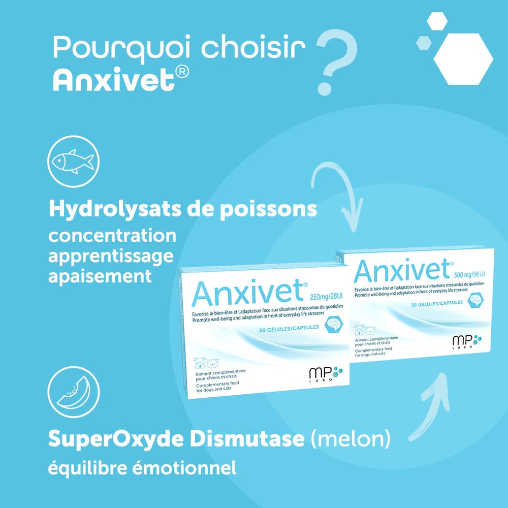Anxivet® 250mg et 500mg