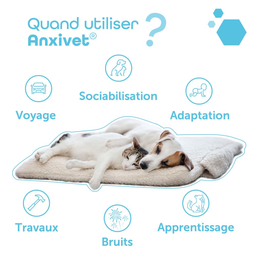 Anxivet® 250mg et 500mg