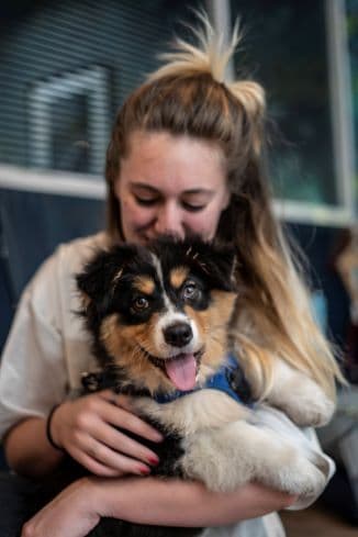 Je prend soin de la bouche de mon chien