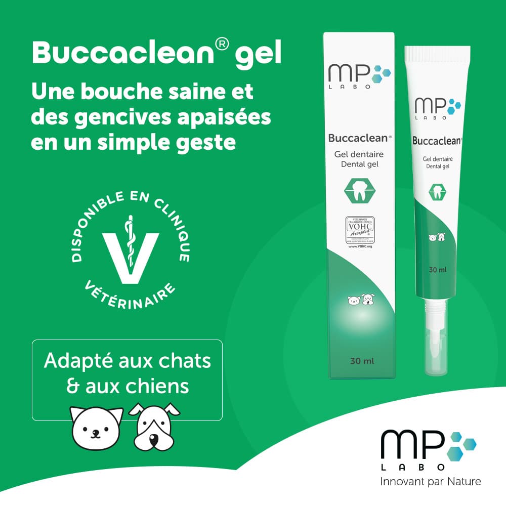 Buccaclean® gel