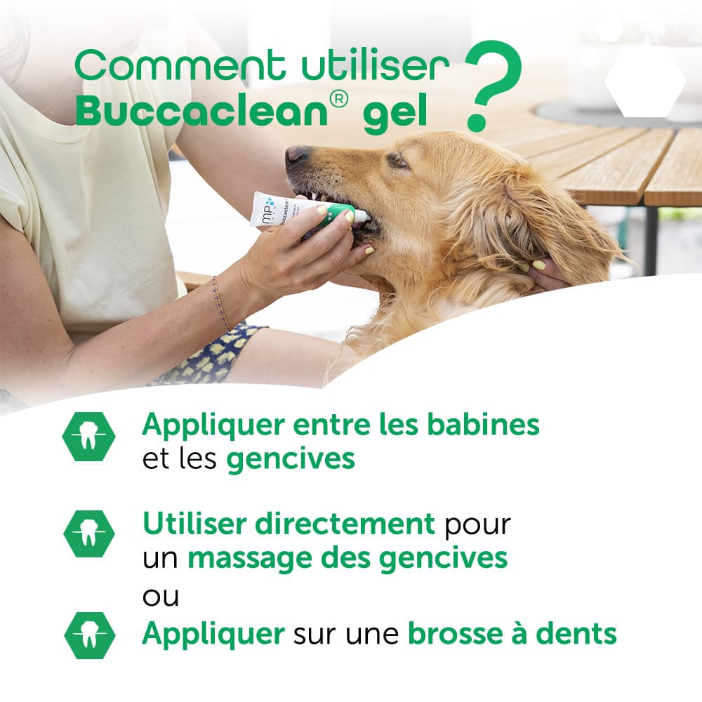 Buccaclean® gel