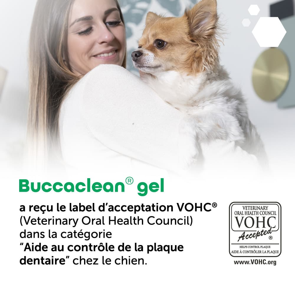 Buccaclean® gel