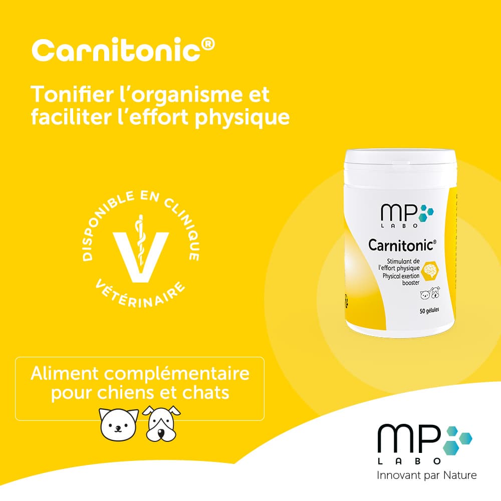 Carnitonic®