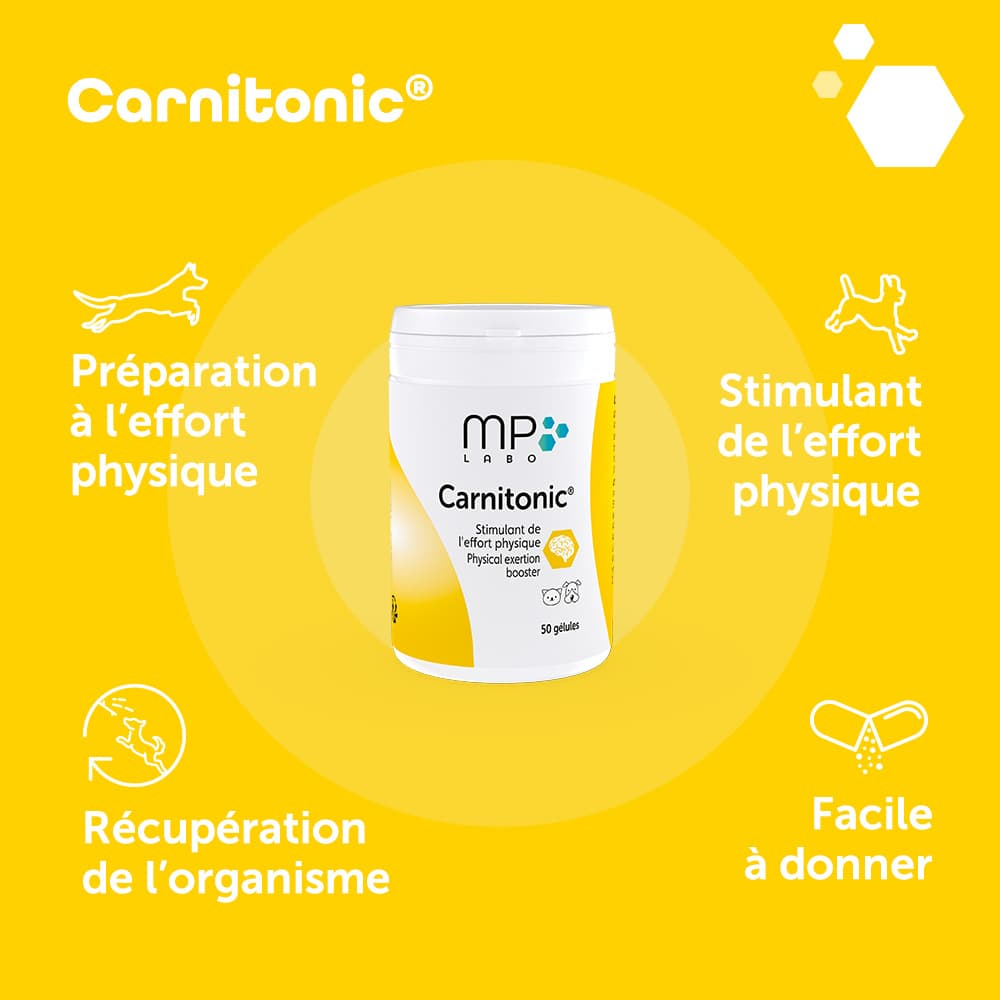 Carnitonic®