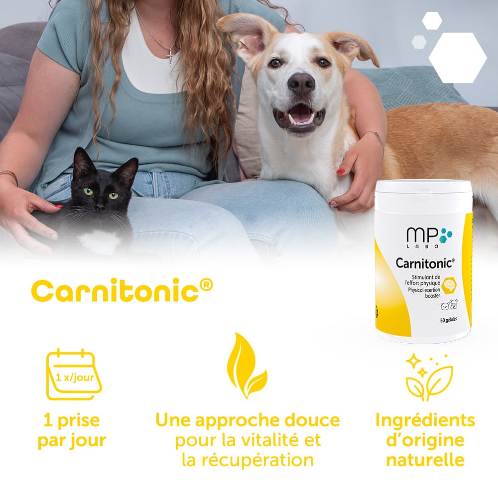 Carnitonic®