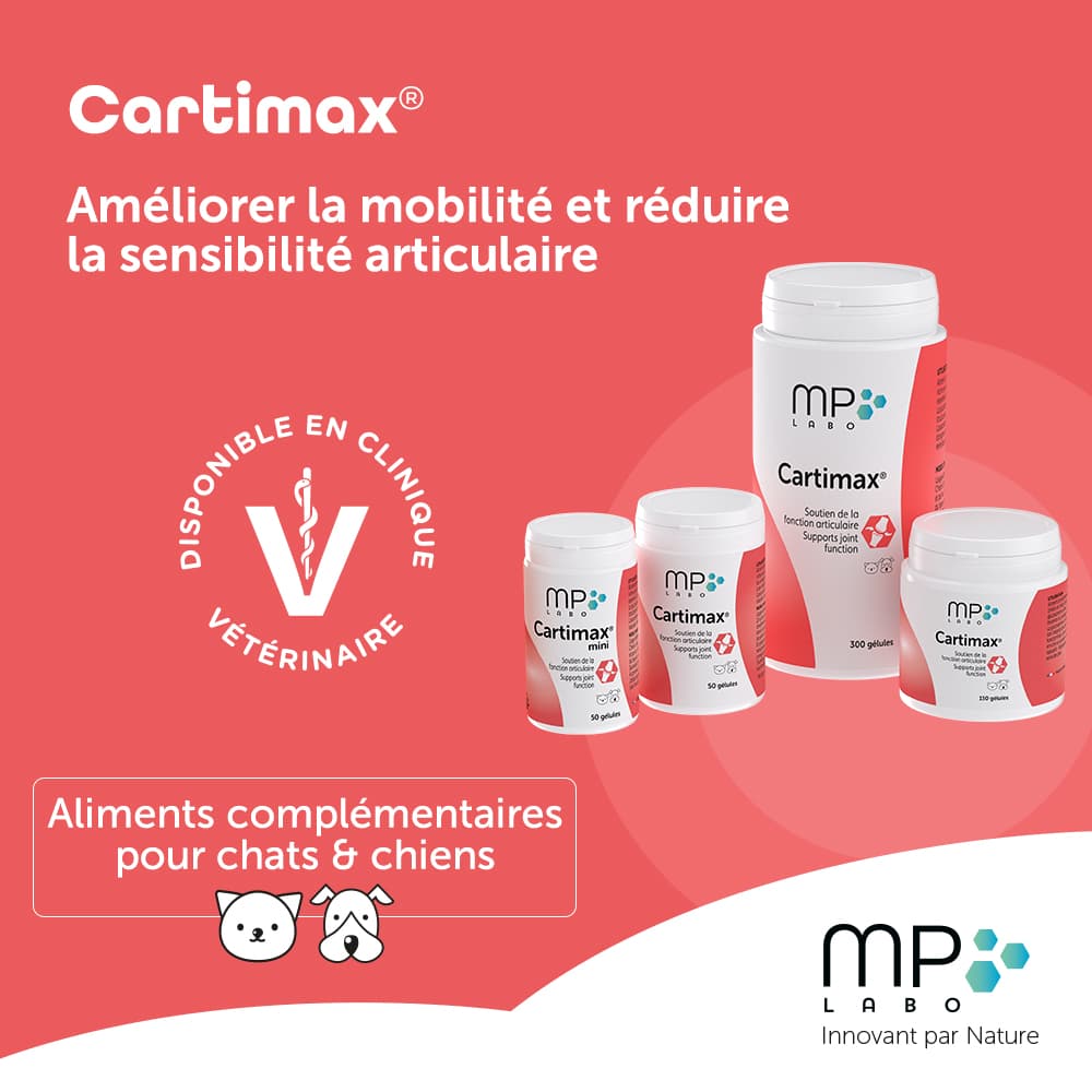 Cartimax®
