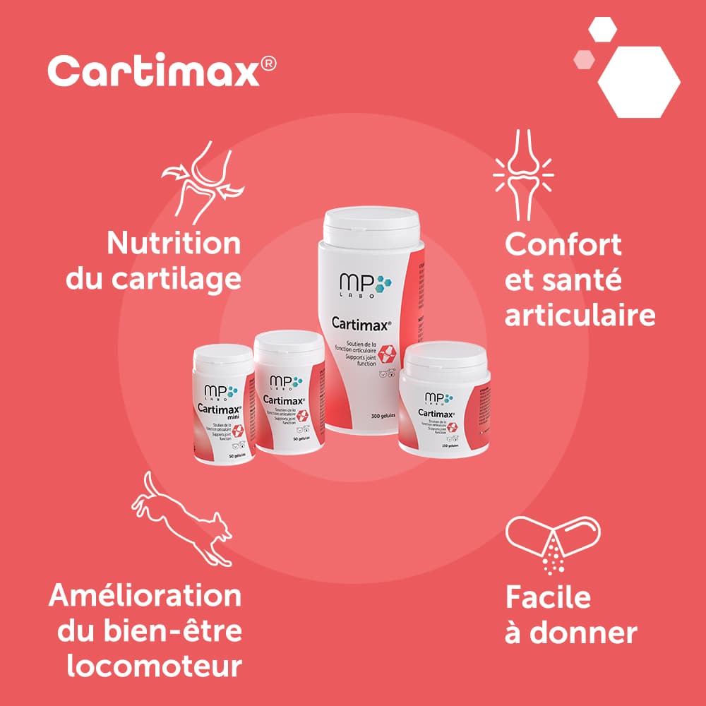 Cartimax®